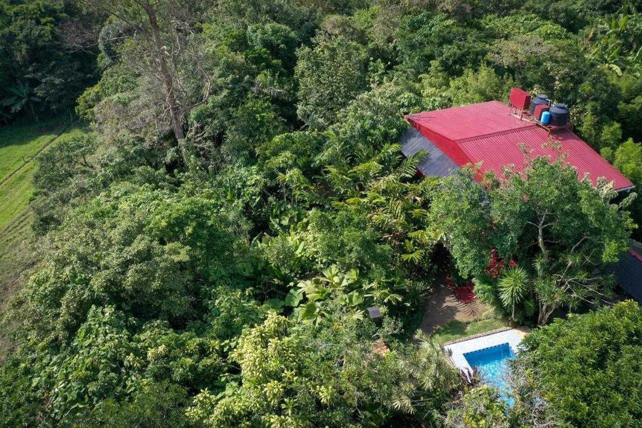 Bed and Breakfast La Boruca San Isidro  Екстер'єр фото