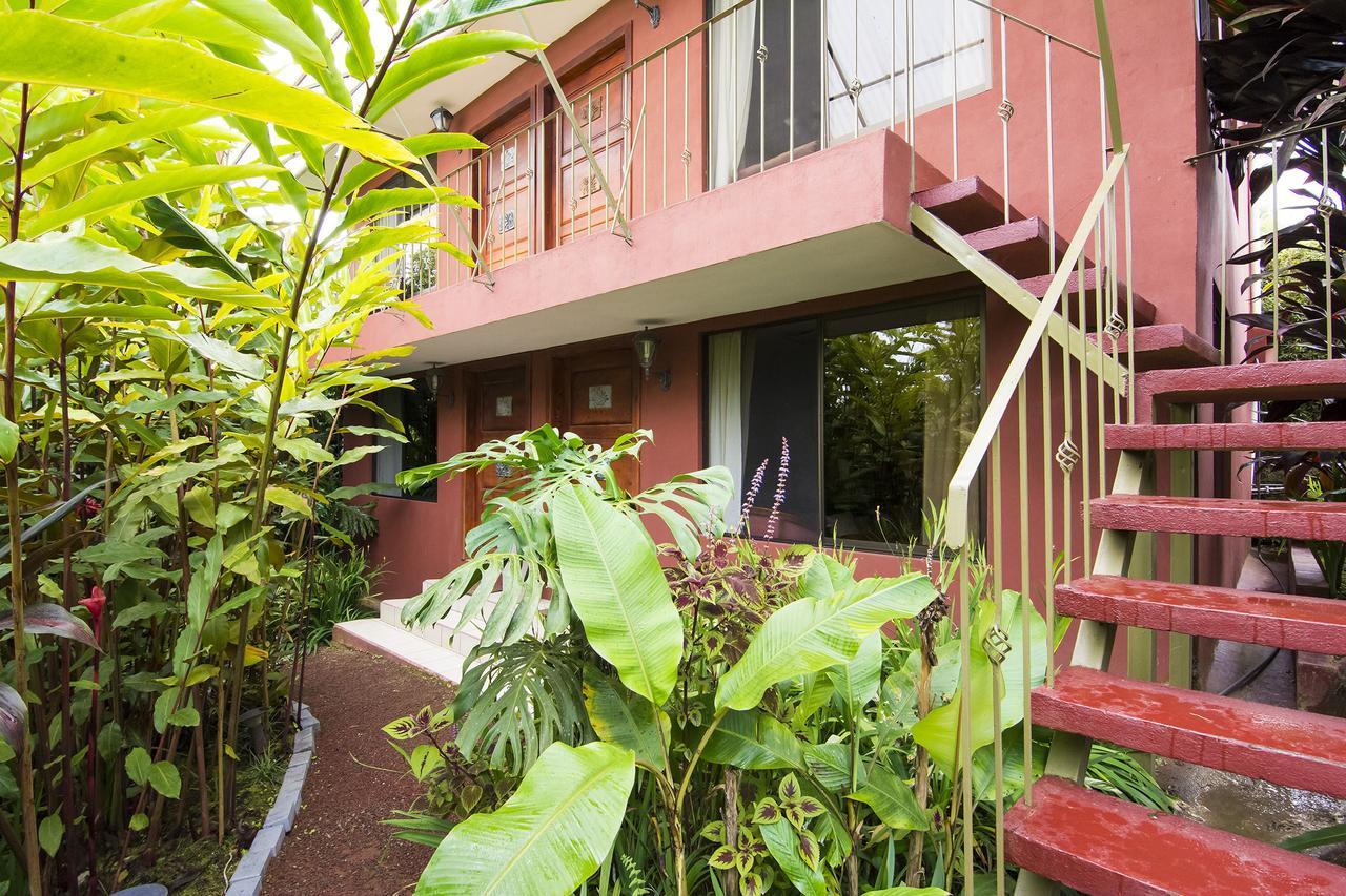 Bed and Breakfast La Boruca San Isidro  Екстер'єр фото