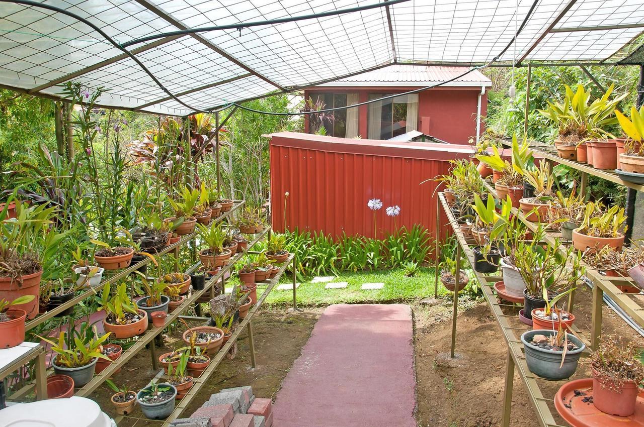 Bed and Breakfast La Boruca San Isidro  Екстер'єр фото